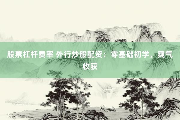 股票杠杆费率 外行炒股配资：零基础初学，爽气收获