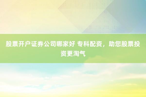 股票开户证券公司哪家好 专科配资，助您股票投资更淘气