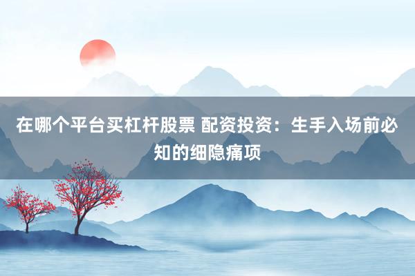 在哪个平台买杠杆股票 配资投资：生手入场前必知的细隐痛项