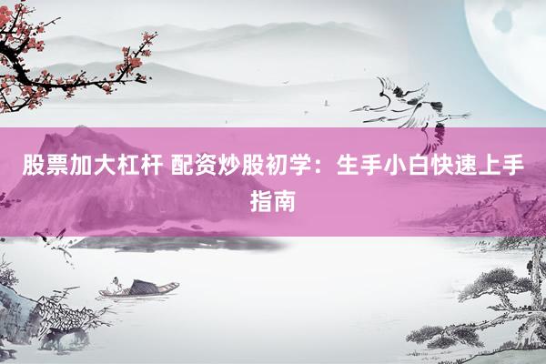 股票加大杠杆 配资炒股初学：生手小白快速上手指南