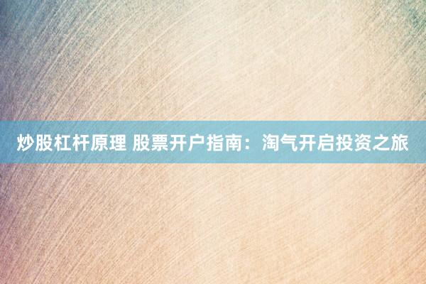 炒股杠杆原理 股票开户指南：淘气开启投资之旅