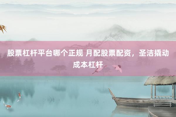 股票杠杆平台哪个正规 月配股票配资，圣洁撬动成本杠杆