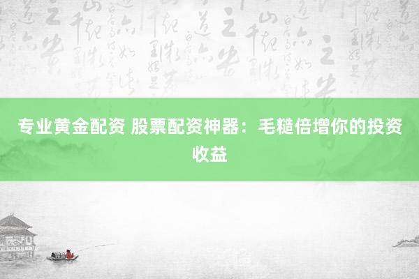 专业黄金配资 股票配资神器：毛糙倍增你的投资收益