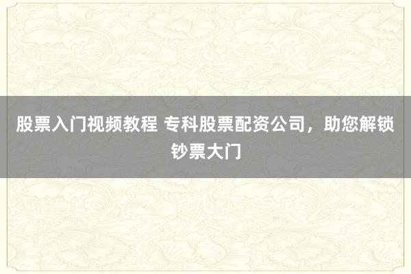 股票入门视频教程 专科股票配资公司，助您解锁钞票大门