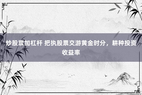 炒股票加杠杆 把执股票交游黄金时分，耕种投资收益率