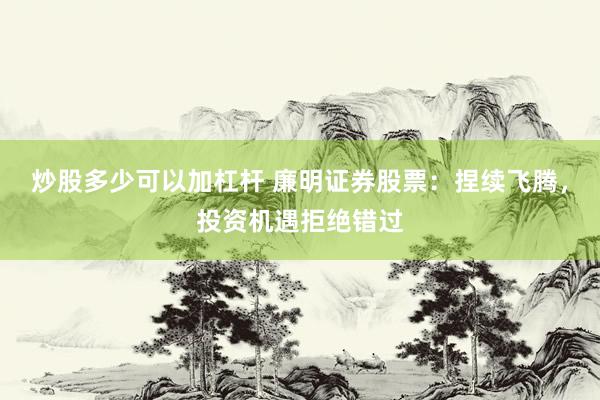 炒股多少可以加杠杆 廉明证券股票：捏续飞腾，投资机遇拒绝错过
