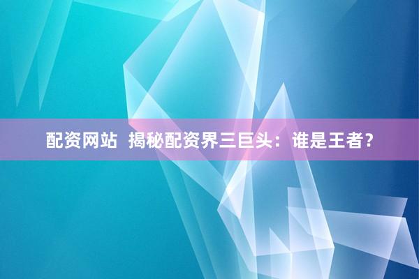 配资网站  揭秘配资界三巨头：谁是王者？