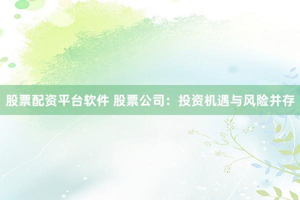 股票配资平台软件 股票公司：投资机遇与风险并存