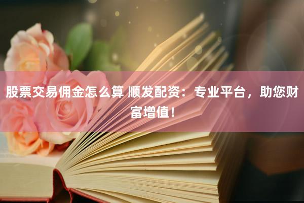 股票交易佣金怎么算 顺发配资：专业平台，助您财富增值！