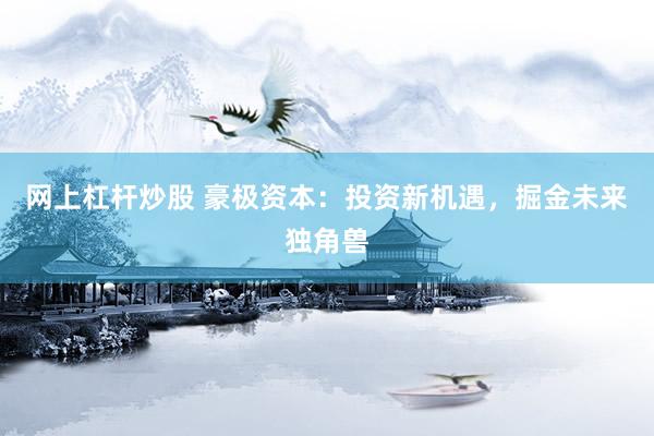 网上杠杆炒股 豪极资本：投资新机遇，掘金未来独角兽