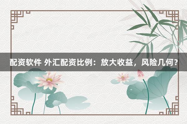 配资软件 外汇配资比例：放大收益，风险几何？
