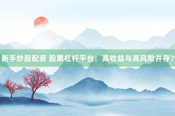新手炒股配资 股票杠杆平台：高收益与高风险并存？