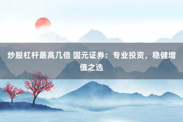 炒股杠杆最高几倍 国元证券：专业投资，稳健增值之选
