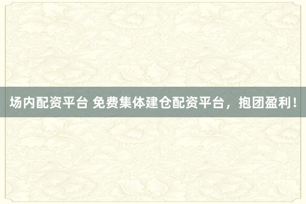 场内配资平台 免费集体建仓配资平台，抱团盈利！