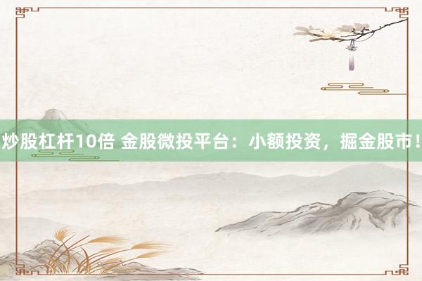 炒股杠杆10倍 金股微投平台：小额投资，掘金股市！