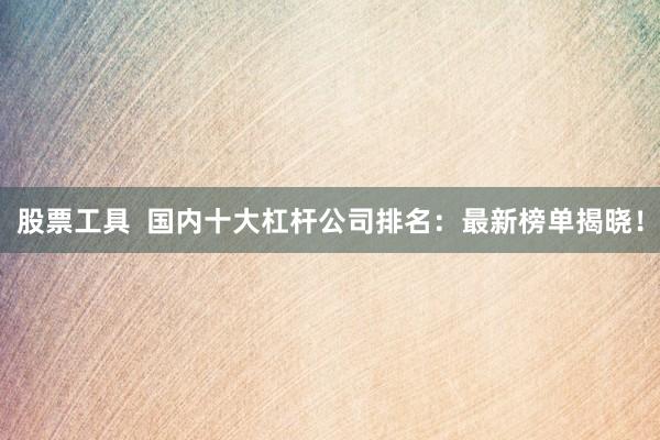 股票工具  国内十大杠杆公司排名：最新榜单揭晓！