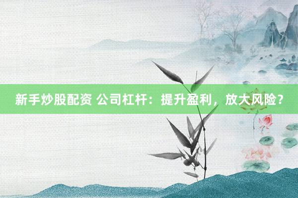 新手炒股配资 公司杠杆：提升盈利，放大风险？