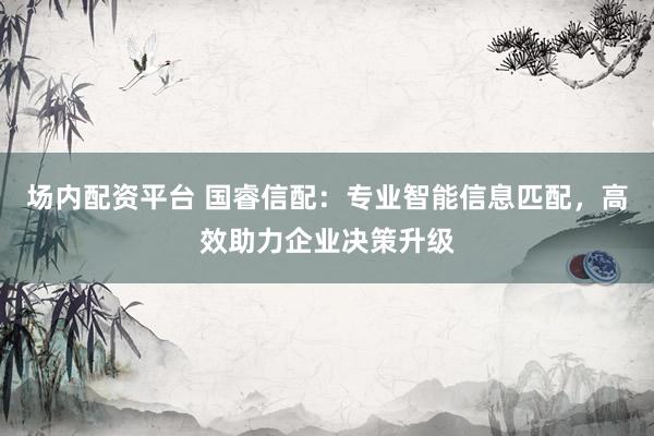 场内配资平台 国睿信配：专业智能信息匹配，高效助力企业决策升级
