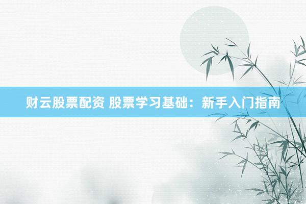 财云股票配资 股票学习基础：新手入门指南
