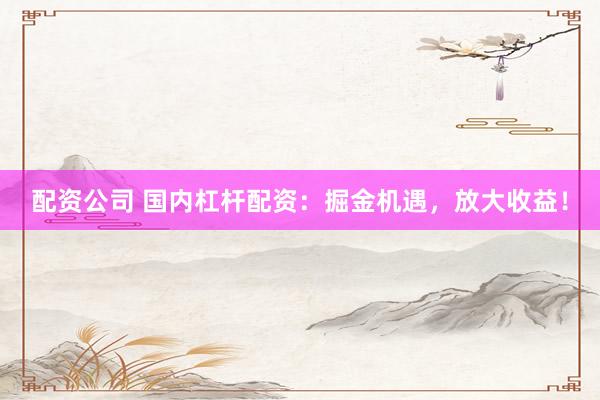 配资公司 国内杠杆配资：掘金机遇，放大收益！