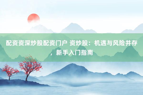 配资资深炒股配资门户 资炒股：机遇与风险并存，新手入门指南