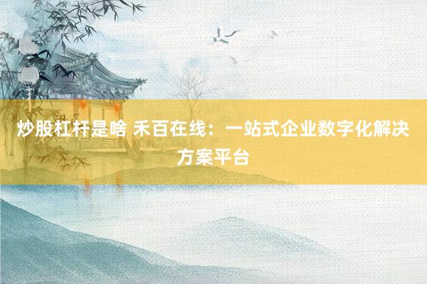 炒股杠杆是啥 禾百在线：一站式企业数字化解决方案平台