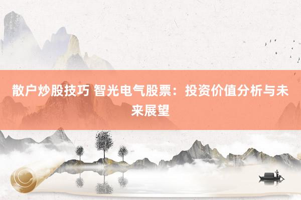 散户炒股技巧 智光电气股票：投资价值分析与未来展望