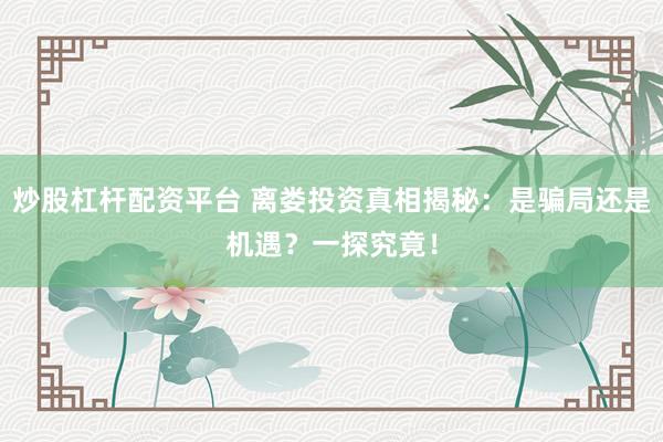 炒股杠杆配资平台 离娄投资真相揭秘：是骗局还是机遇？一探究竟！