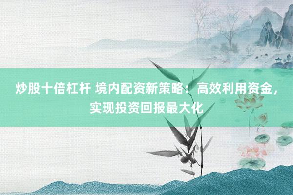 炒股十倍杠杆 境内配资新策略：高效利用资金，实现投资回报最大化
