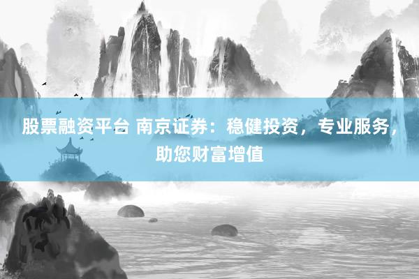 股票融资平台 南京证券：稳健投资，专业服务，助您财富增值