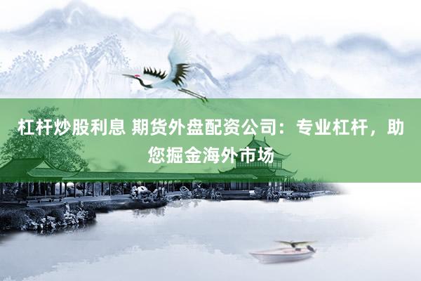杠杆炒股利息 期货外盘配资公司：专业杠杆，助您掘金海外市场