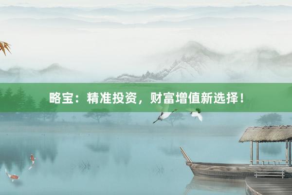 略宝：精准投资，财富增值新选择！
