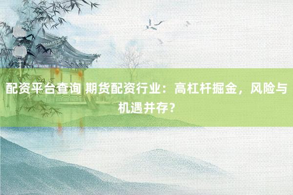 配资平台查询 期货配资行业：高杠杆掘金，风险与机遇并存？