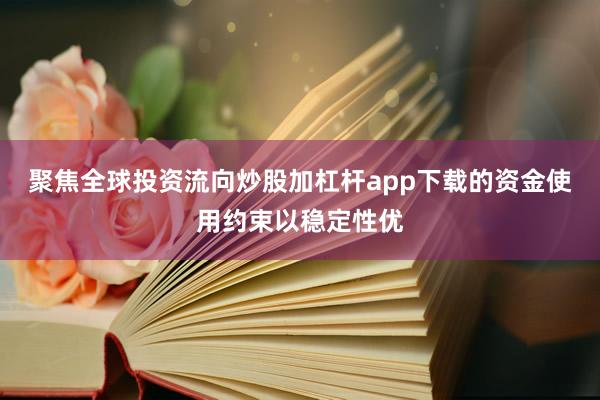 聚焦全球投资流向炒股加杠杆app下载的资金使用约束以稳定性优