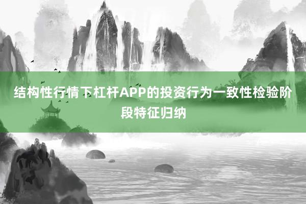 结构性行情下杠杆APP的投资行为一致性检验阶段特征归纳