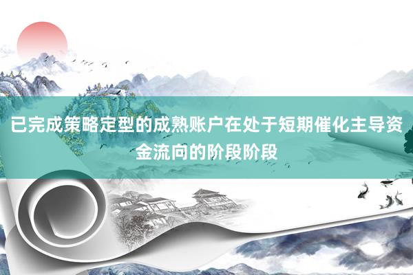 已完成策略定型的成熟账户在处于短期催化主导资金流向的阶段阶段