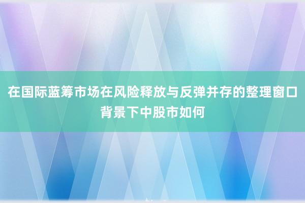 在国际蓝筹市场在风险释放与反弹并存的整理窗口背景下中股市如何