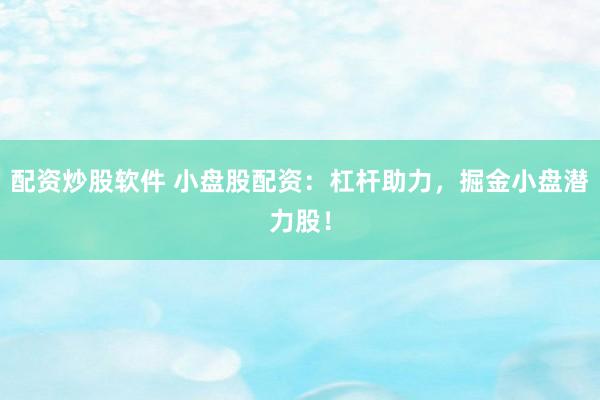配资炒股软件 小盘股配资：杠杆助力，掘金小盘潜力股！
