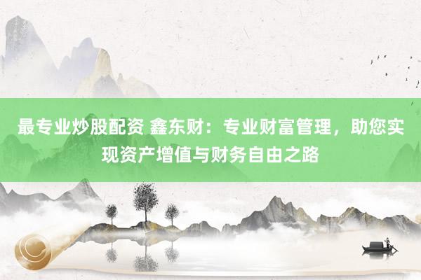 最专业炒股配资 鑫东财：专业财富管理，助您实现资产增值与财务自由之路