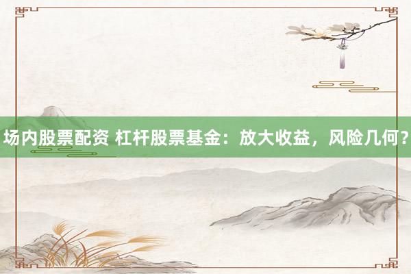 场内股票配资 杠杆股票基金：放大收益，风险几何？