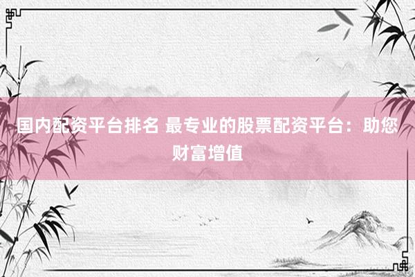 国内配资平台排名 最专业的股票配资平台：助您财富增值