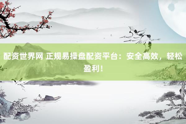 配资世界网 正规易操盘配资平台：安全高效，轻松盈利！